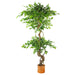 150cm Twisted Trunk Artificial Japanese Fruticosa Ficus Tree Copper Planter