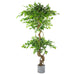150cm Twisted Trunk Artificial Japanese Fruticosa Ficus Tree Silver Planter