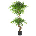 150cm Twisted Trunk Artificial Japanese Fruticosa Ficus Tree Black Planter