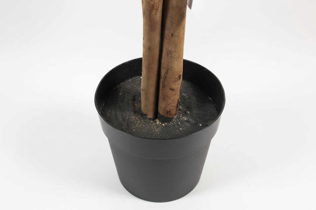 130cm Tall Variegated White/Green Bushy Ficus Tree