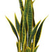 70cm Artificial Sansevieria with pot