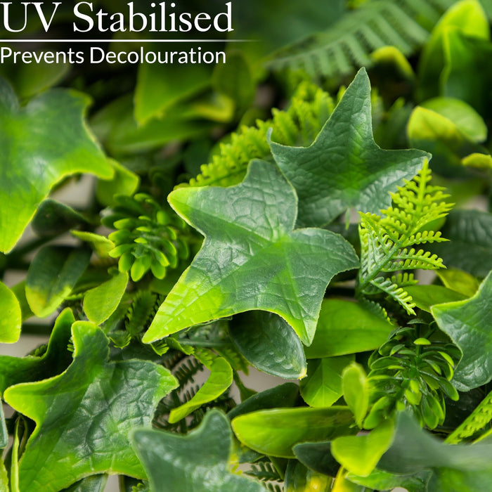 Evergreen Artificial Living Wall Panels, 1m x 1m, UV Protected. (Pack of 2 - 100 x 50cm)