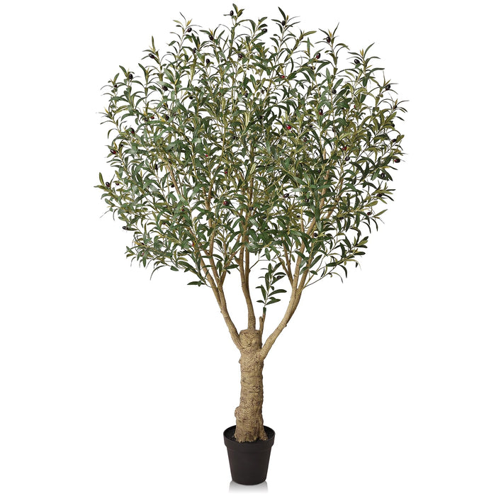 210cm - Mediterranean Olive Tree Indoor Plant with 2871 Leaves and Fruits