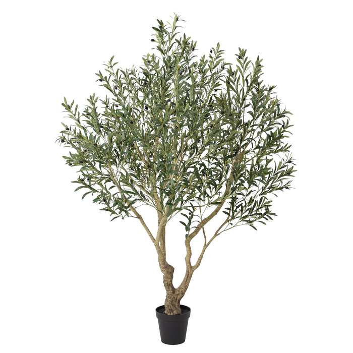 Olive Tree – 210cm with Realistic Fruit & Foliage