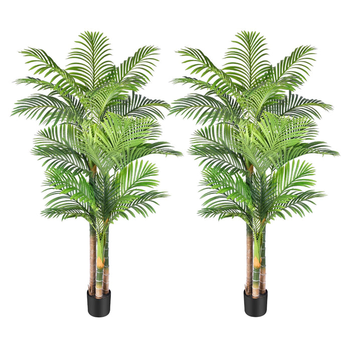 6ft/180cm Tall Triple Trunk Golden Cane Palm Tree (2 Trees Pack)