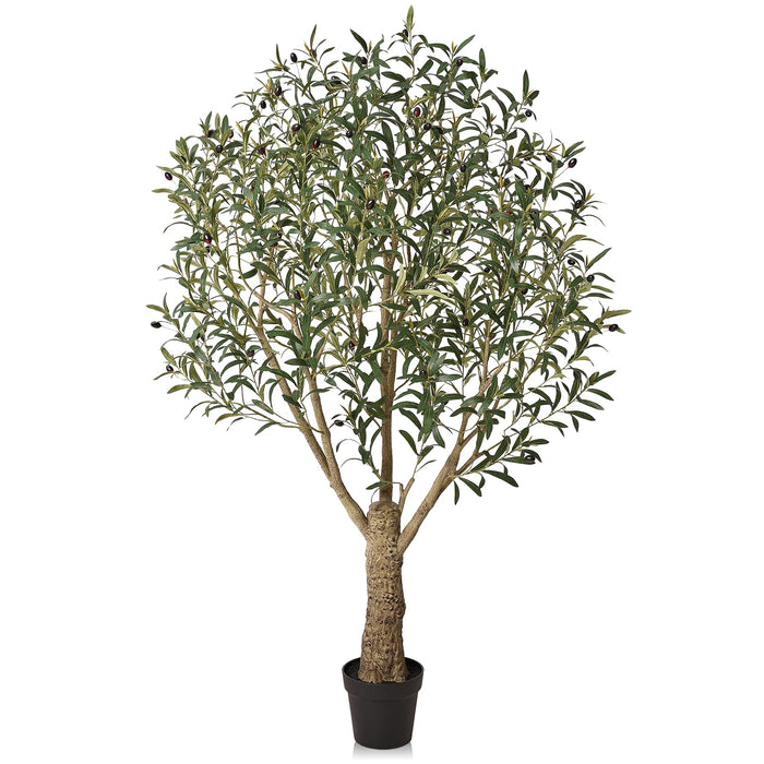 Olive Tree, 180cm Indoor Plant with Realistic Foliage & Olives