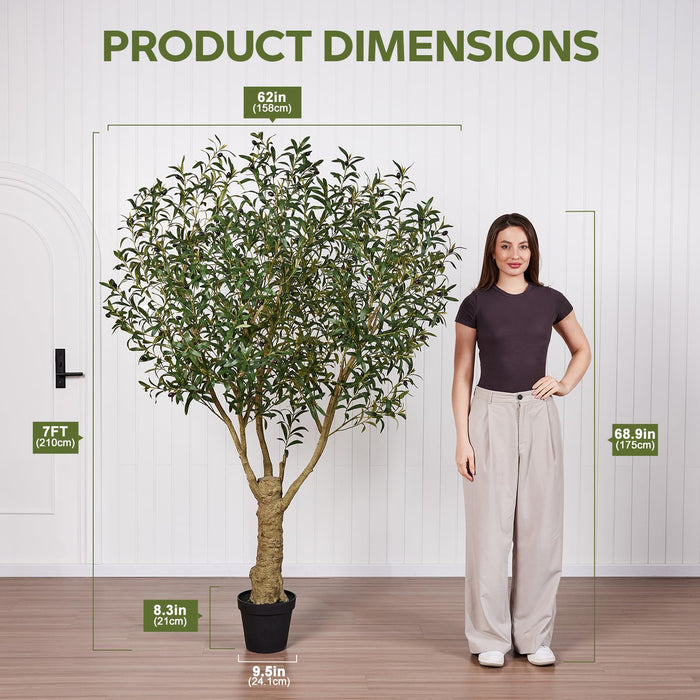 210cm - Mediterranean Olive Tree Indoor Plant with 2871 Leaves and Fruits