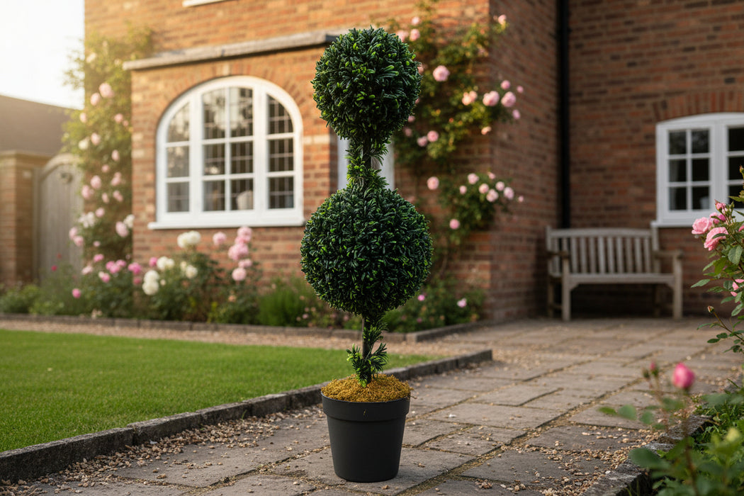 90cm Podocarpus Double Ball Topiary Tree