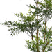 165cm Fire Retardant Nandina Tree with 4857 Leaves