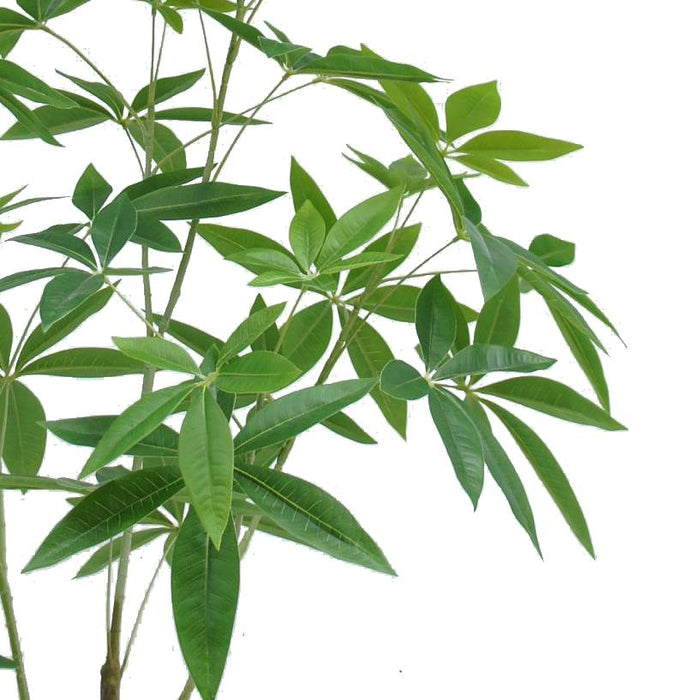 120cm Artificial Money Plant Pachira Realistic Faux Tree