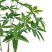 120cm Artificial Money Plant Pachira Realistic Faux Tree
