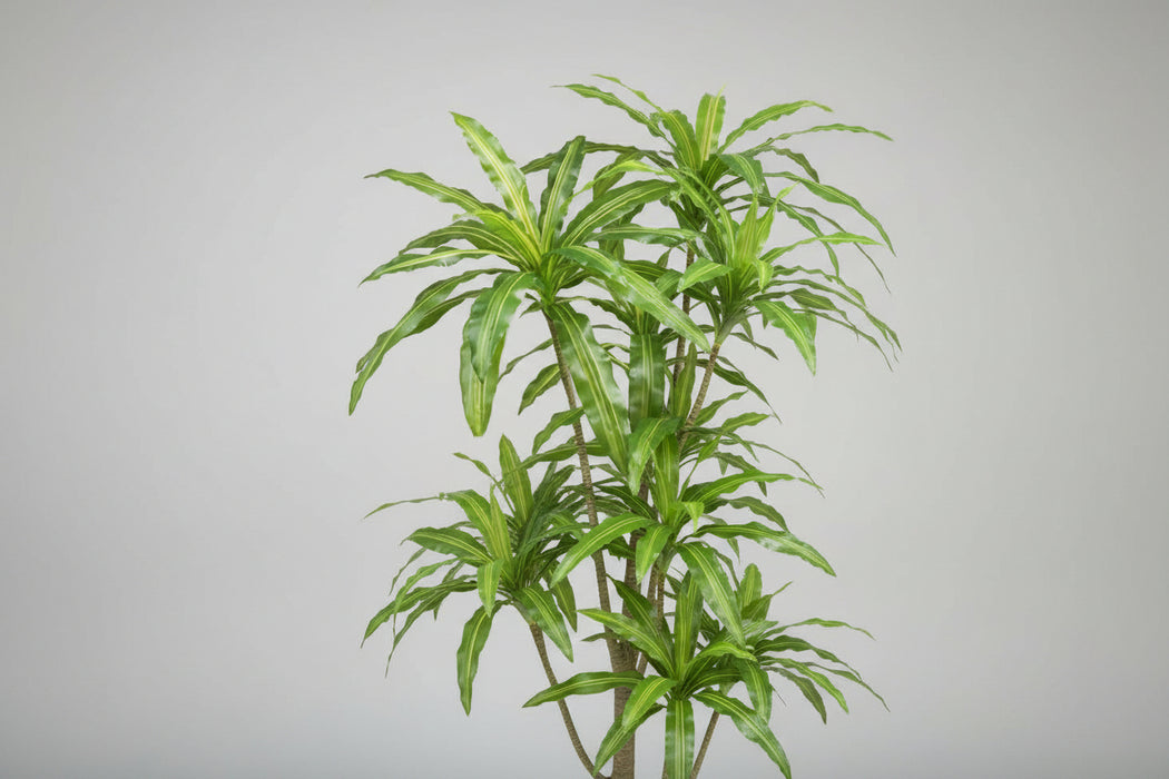 180cm Striped Dracaena Realistic Faux Tree
