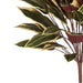 90cm Fire Retardant Caladium Bush 49 Leaves