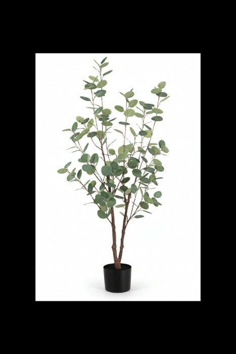 Eucalyptus Tree 125cm