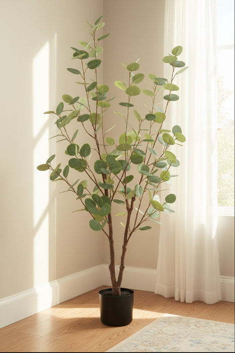 Eucalyptus Tree 125cm