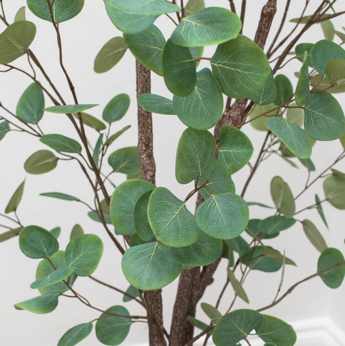 Eucalyptus Tree 125cm