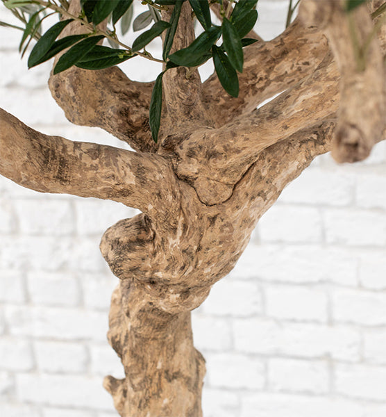 Realistic Olive Tree - 200cm - Fire Retardant and UV Resistant