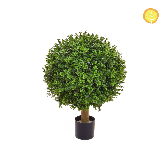 Buxus Topiary Ball – 40cm - Height 57cm Tree with UV Resistant