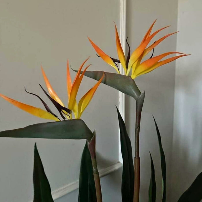 Artificial Bird of Paradise Plant