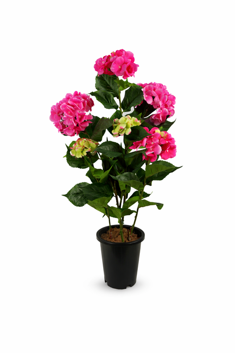 Vibrant Pink Lifelike Hydrangea Flowering Plant