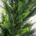 120cm Pair of Artificial Cedar Cypress Topiary UV Resistant