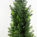 120cm Pair of Artificial Cedar Cypress Topiary UV Resistant
