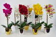 52cm Artificial Orchid Large - Dark Pink / Silver