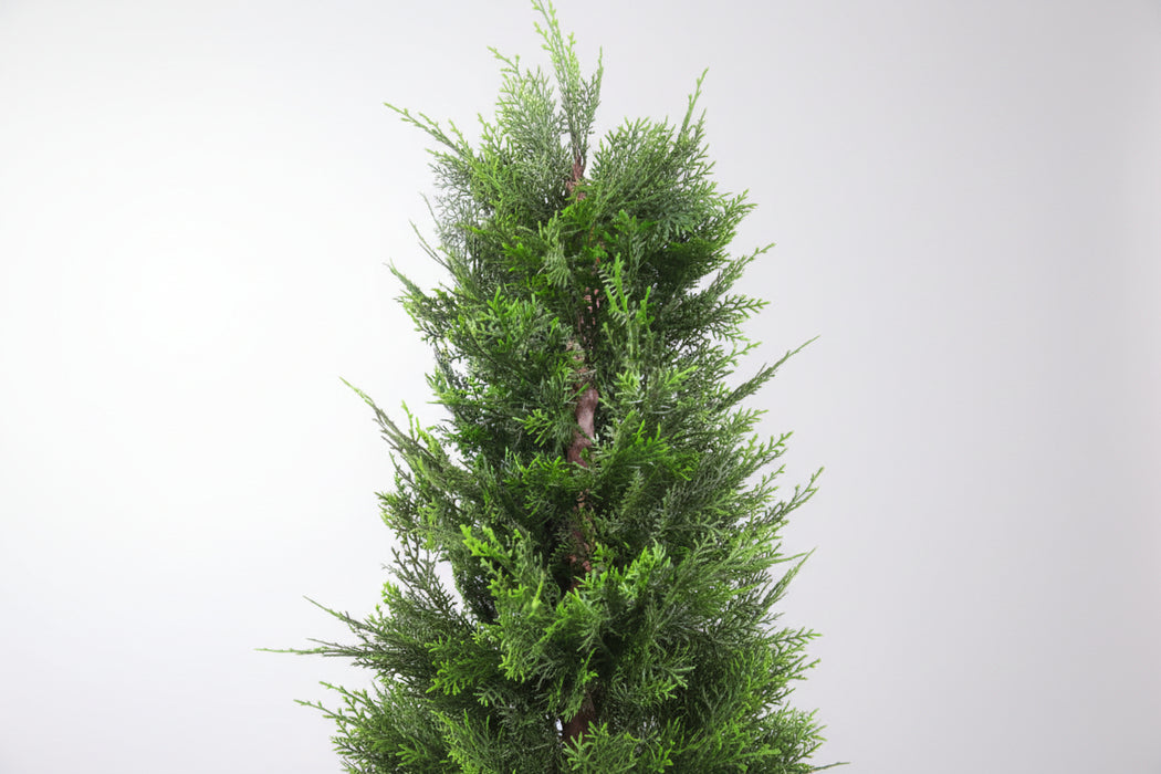120cm Pair of Artificial Cypress Topiary Trees