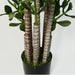 Artificial Deluxe 75cm Green Jade Plant