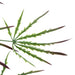 100cm Artificial Hanging Acer Plant