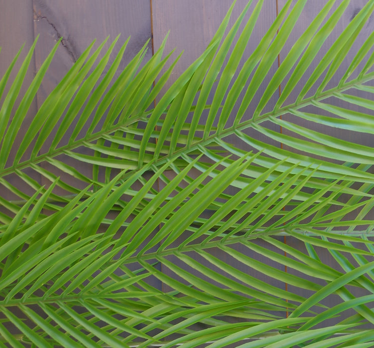 Pack of 12 x 120cm Artificial Hanging Palm Plant