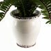 40cm Artificial Fern Bush in Decorative Planter