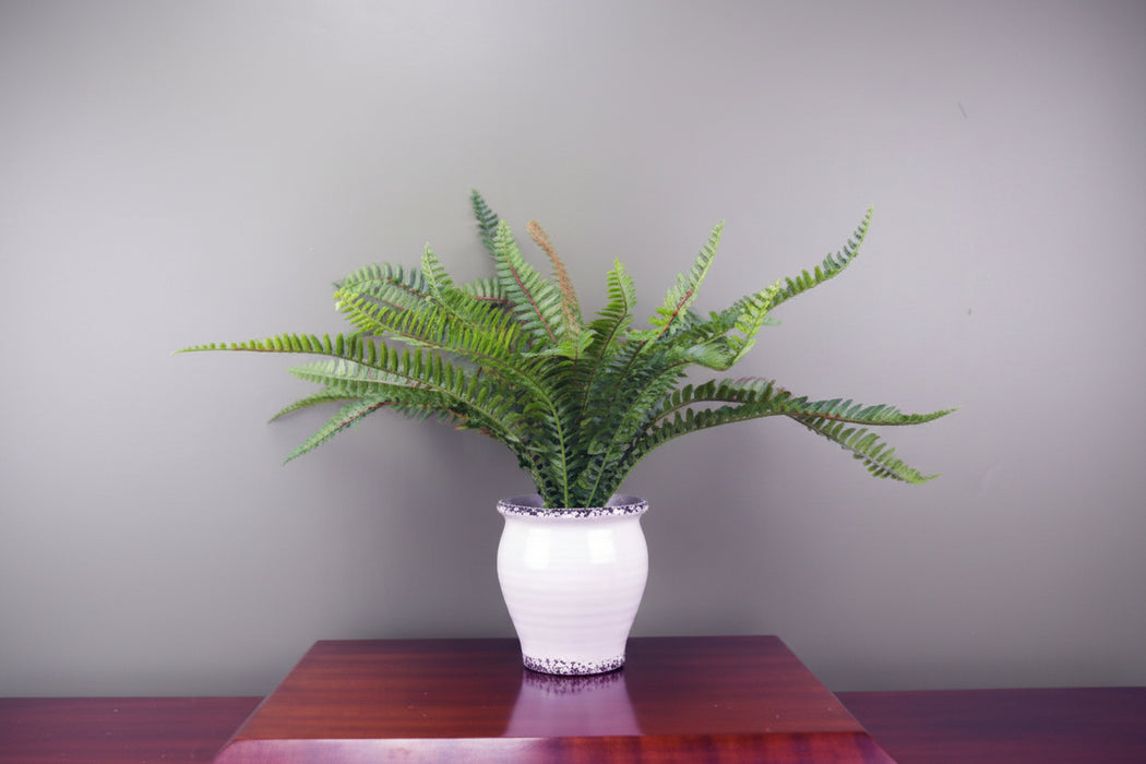 40cm Faux Bushy Fern Potted in Decorative Planter