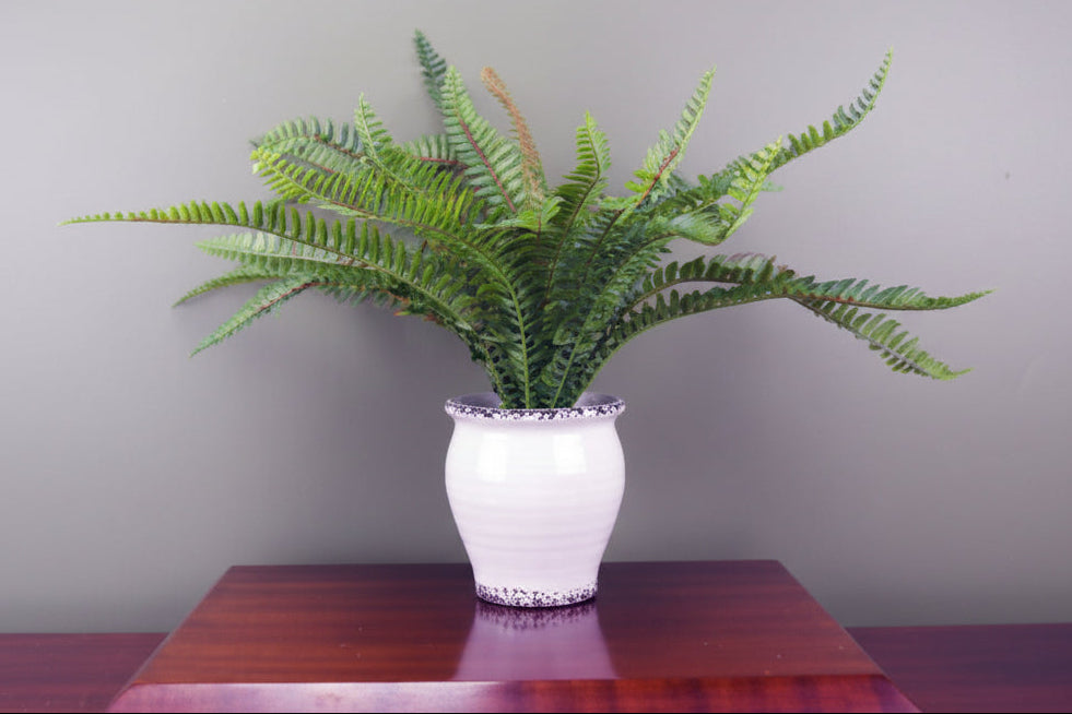 40cm Faux Bushy Fern Potted in Decorative Planter