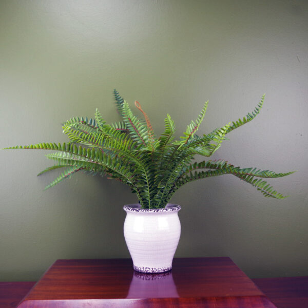40cm Faux Bushy Fern Potted in Decorative Planter