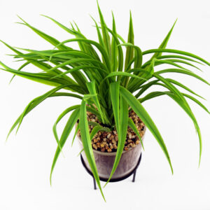 35cm Grass - Ceramic Planter & Metal Stand