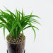 35cm Artificial Grass with Ceramic Planter & Metal Stand