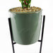 40cm Artificial Fern with Ceramic Planter & Stand