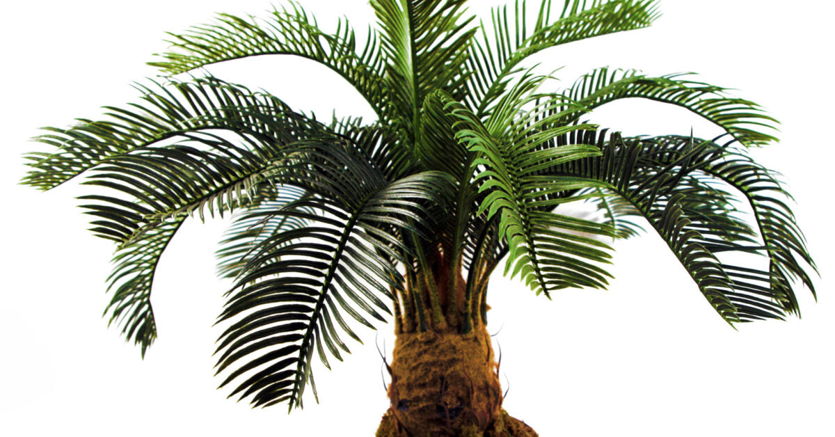 60cm Artificial Tropical Cycas Palm Plant