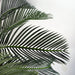 80cm Artificial Tropical Cycas Palm Plant
