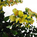 120cm Artificial Yellow Wisteria Tree