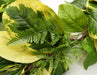 180cm Artificial Garland Hanging Trailing Golden Ficus Plant