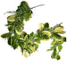 180cm Artificial Garland Hanging Trailing Golden Ficus Plant
