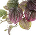 35cm Artificial Trailing Purple Potted Pothos Plant