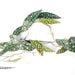110cm Artificial Hanging Trailing Begonia Maculata Spotted Plant
