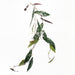 110cm Artificial Hanging Trailing Begonia Maculata Spotted Plant