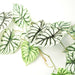 120cm Artificial Hanging Trailing Plant Alocasia Dragon Scale Light