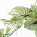 30cm Artificial Trailing Plant Variegated Potted Alocasia