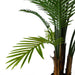 125cm UV Resistant Raphis Palm Tree with Natural Trunk