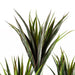 105cm UV Resistant  Yucca Tree with 179 Leaves